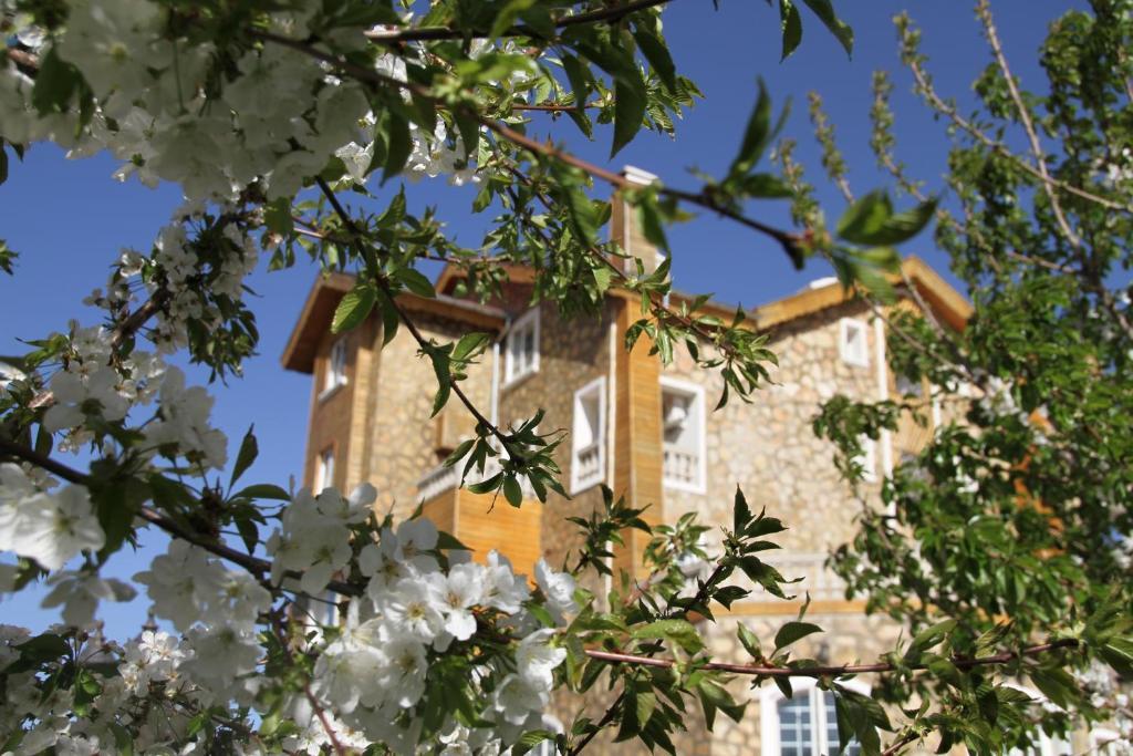 Le Palais Des Cerisiers 호텔 아즈루 외부 사진